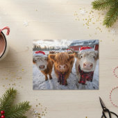 Cute Christmas Highland Cows in Snow Postkarte