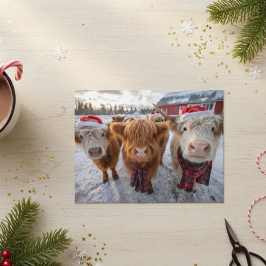 Cute Christmas Highland Cows in Snow Postkarte