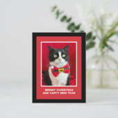 Cute Christmas Tuxedo Cat Postcard Feiertagspostkarte (Stehend Vorderseite)
