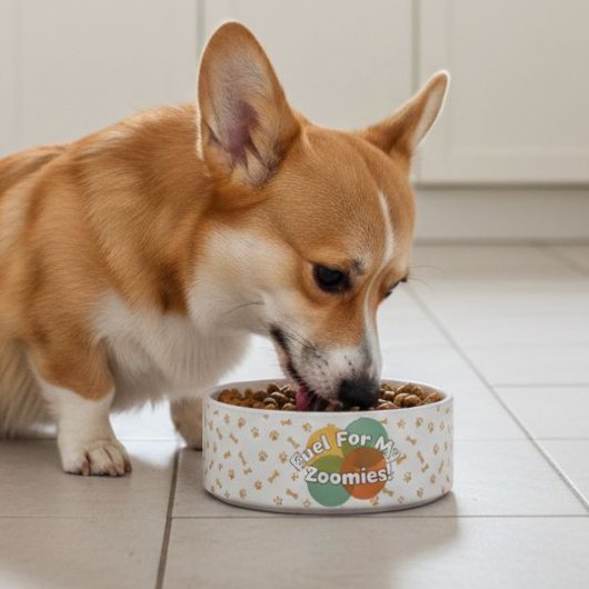 Cute Corgi Dog Bowls | Funny Pattern  Napf