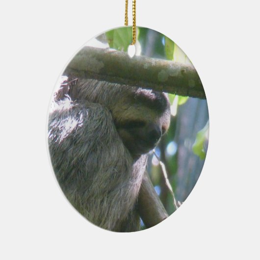 Cute Costa Rica Sloth Ornament (Rechts)