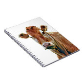 CUTE COW NOTIZBLOCK (Rechte Seite)