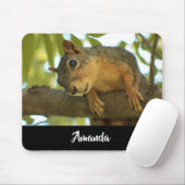Cute & Curious Squirrel Nature Photography Mousepad (Mit Mouse)