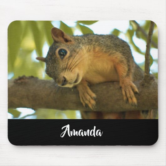 Cute & Curious Squirrel Nature Photography Mousepad (Vorne)