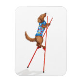Cute dachshund walking on stilts magnet (Vertikal)