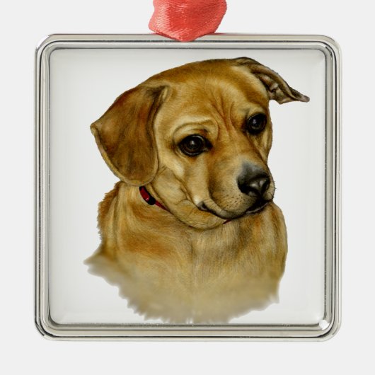 Cute Dachsy-Terrier Mix Dog Ornament Aus Metall (Vorne)