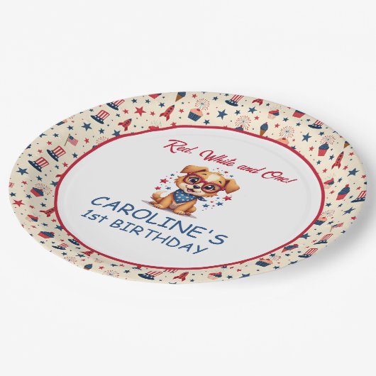 Cute Dog 4th Of July First Birthday Pappteller (Schrägansicht)