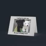 Cute Dog And Bear Birthday Karte<br><div class="desc">Ich bin Dog and Bear in Basketball,  any animal lover would be happy to receive this one!</div>