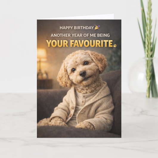 Cute Dog Birthday Card Your Favourite Cockapoo Karte (Vorderseite)