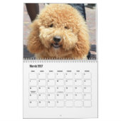 Cute Dog Calendar Kalender (Mär 2027)