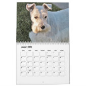 Cute Dog Calendar Kalender (Jan 2026)