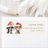 Cute Dog Furry and Bright Christmas Address (Insitu)