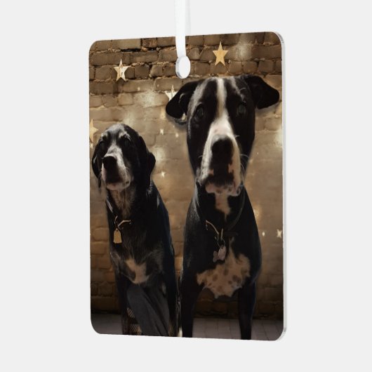 Cute Dog Photos Personalized Christmas Ornament Aus Metall (Vorderseite links)