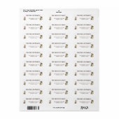 Cute dogs and cats look up Personalized (Vorne)