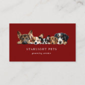 Cute Dogs Grooming Service Business Card Visitenkarte (Vorderseite)
