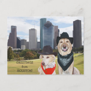 Cute Dogs/Lab Greetings from Houston Postkarte