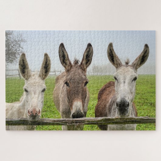 Cute Donkeys in Misty Paddock Animals Natur Puzzle (Horizontal)