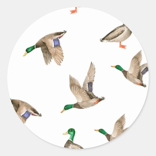 Cute, Duck Invitation Sticker (Vorderseite)