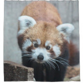 Cute Duschvorhang (Vorderseite)