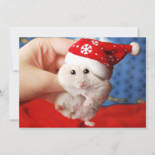 Cute dwarf hamster Tutku with Santa Claus hat Feiertagskarte