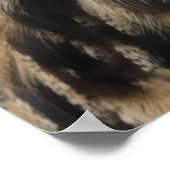 Cute eagle owl poster (Ecke)