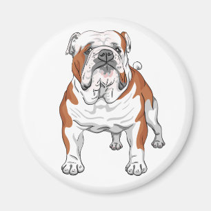 Cute English Bulldog Lover Bully Cartoon Puppy Dog Magnet