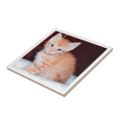 Cute Family Kitten Modern Minimalist Border Fliese (Seite)