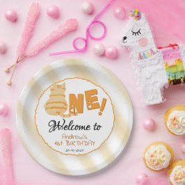 Cute Fat Orange Cat 1st Birthday Pappteller