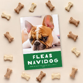 Cute Fleas Navidog Dog Pet Holiday Photo Card Feiertagskarte