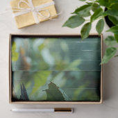 Cute fluffy birds hiding under leaf in rain seidenpapier (Geschenk)