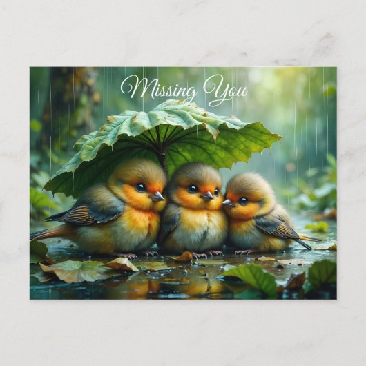 Cute fluffy birds in rain *Missing You* Postkarte (Vorderseite)