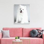 Cute Fluffy Japanese Spitz Puppy Leinwanddruck (Insitu (Wohnzimmer))