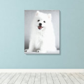 Cute Fluffy Japanese Spitz Puppy Leinwanddruck (Insitu (Holzboden))