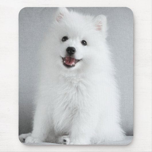 Cute Fluffy Japanese Spitz Puppy Mousepad (Vorne)