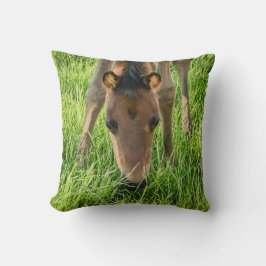 Cute Foal Baby Horses Green Cotton Kissen
