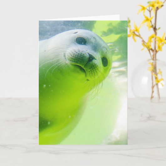 Cute Friendly Seal Underwater Karte (Gelbe Blume)