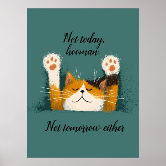 Cute Funny Cat Nap Poster (Vorne)