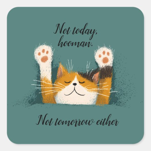 Cute Funny Cat Nap Quadratischer Aufkleber (Vorderseite)