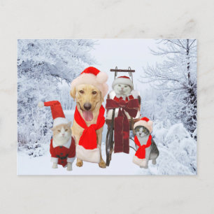 Cute/Funny Pet Business Holiday Client Post Card Feiertagspostkarte
