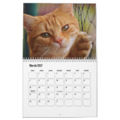 Cute Furry Friends Cat Calendar Kalender (Mär 2027)