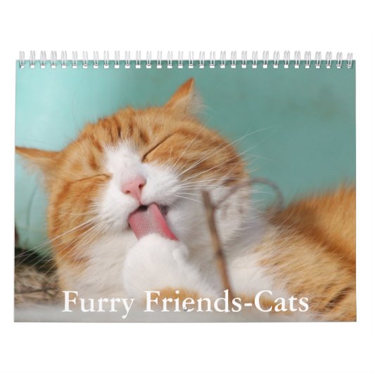 Cute Furry Friends Cat Calendar Kalender (Titelbild)