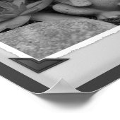 Cute Garden Frog Black And White Print Poster (Ecke)