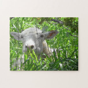 Cute Goat Peeking out Puzzle