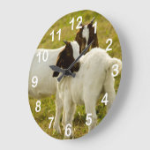Cute Goats Boer Snuggling Animals Große Wanduhr (Winkel)