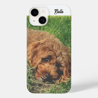 Cute Golden Doodle Case-Mate iPhone 14 Hülle