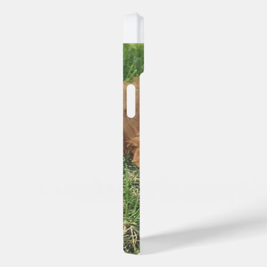 Cute Golden Doodle Case-Mate iPhone Hülle (Rückseite / Rechts)