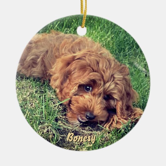 Cute Golden Doodle Ceramic Ornament (Vorne)