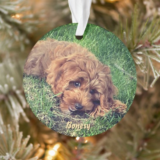 Cute Golden Doodle Ornament (Baum)