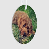 Cute Golden Doodle Ornament (Vorderseite)