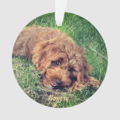 Cute Golden Doodle Ornament (Vorderseite)